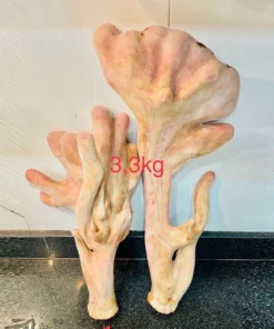 Cặp nhung hươu khủng 3,3kg (Liên Hệ Tư Vấn)