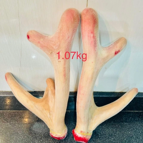 NHUNGTUOI1.7KG_1