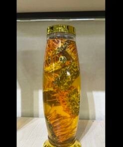 Rượu Đông Trùng Hạ Thảo 2.6 lít