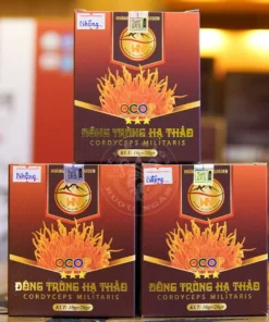 Đông Trùng Hạ Thảo Ký Chủ Nhộng Tằm Hộp 50 Con