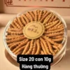 Đông Trùng Hạ Thảo 20 con hộp 10g Na Khúc Tây Tạng–phổ thông