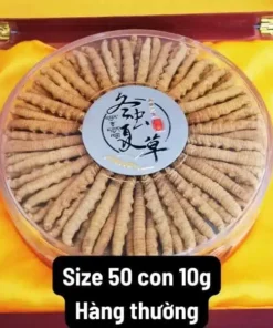 Đông Trùng Hạ Thảo 50 con hộp 10g Tây Tạng – Hàng phổ thông
