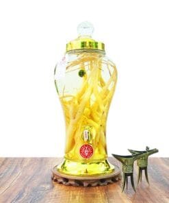 Bình Sâm Dây Ngọc Linh Tươi 5 Lít