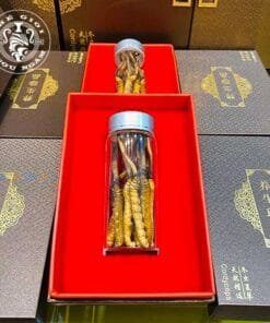 Đông Trùng Hạ Thảo Tây Tạng Tươi - Size 0,7 - 0,8g/con (10 con)
